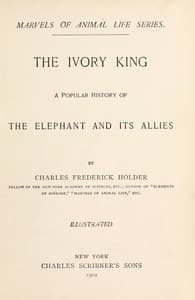 The ivory king
