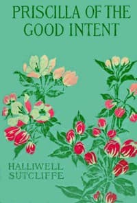 Priscilla of the Good Intent: A Romance of the Grey Fells