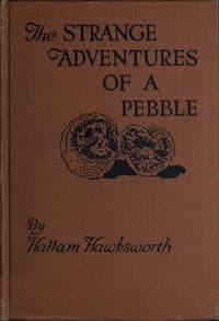 The Strange Adventures of a Pebble book cover