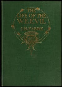 The Life of the Weevil