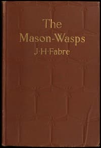 The Mason-Wasps