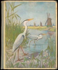 Lente book cover