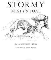Stormy, Misty's Foal book cover