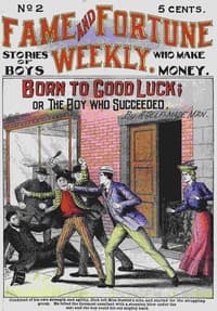 Born to Good Luck; or The Boy Who Succeeded. book cover