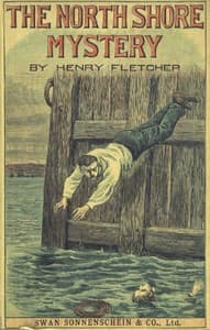 The North Shore Mystery book cover