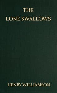 The lone swallows