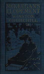 Mr. Keegan's Elopement book cover