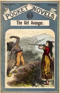 The Girl Avenger; or, The Beautiful Terror of the Maumee book cover