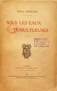 Sous les eaux tumultueuses