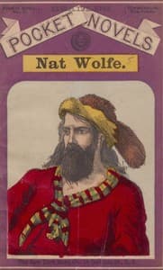 Nat Wolfe; or, The gold hunters: A romance of Pike's Peak and New York book cover