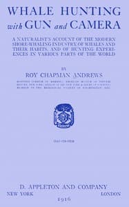 Whale hunting with gun and camera
A naturalist's account of the modern shore-whaling industry, of whales and their habits, and of hunting experiences in various parts of the world
