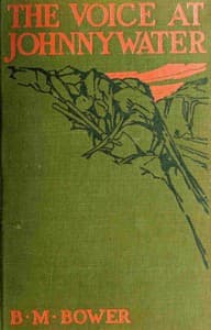 The voice at Johnnywater book cover