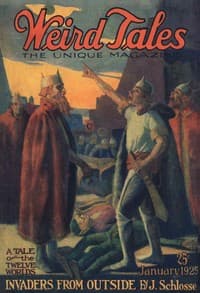 The festival book cover