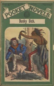 Dusky Dick: or, Old Toby Castor's great campaign
A story of the last Sioux outbreak