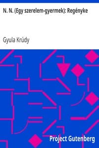 N. N. (Egy szerelem-gyermek): Regényke