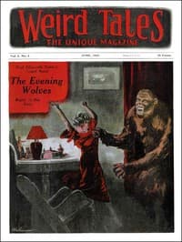 The voice in the fog book cover