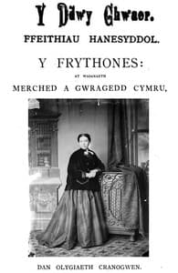 Y ddwy chwaer: Ffeithiau hanesyddol book cover