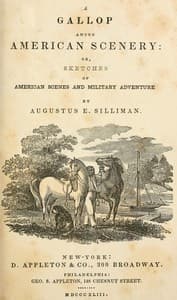 A gallop among American scenery
or, Sketches of American scenes and military adventure