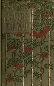 François the waif book cover