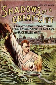 The shadows of a great city: A romantic story book cover