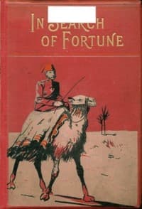 In search of fortune: A tale of the old land and the new book cover