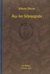 Aus der Schneegrube