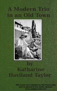 A modern trio in an old town book cover