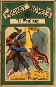 The Wood King; or, Daniel Boone's last trail