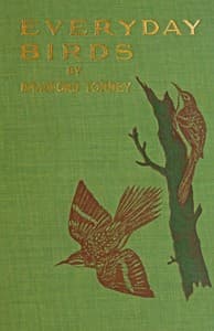 Everyday birds: Elementary studies book cover