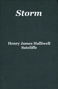 Storm book cover