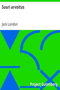 Suuri arvoitus book cover