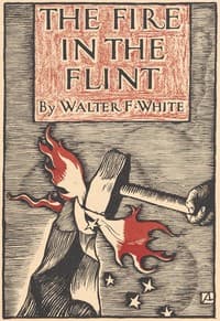 The fire in the flint book cover