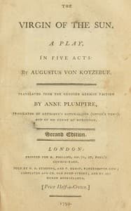 The virgin of the sun book cover