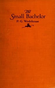 The small bachelor book cover