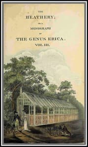 The heathery; or, A monograph of the genus Erica. vol. 3