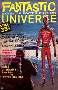 The perverse Erse book cover