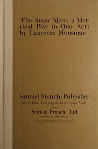The snow man book cover