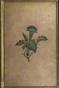Torwood's trust book cover