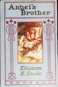 Angel's Brother book cover