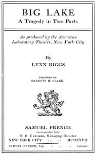 Big lake book cover