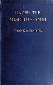 Under the absolute Amir book cover