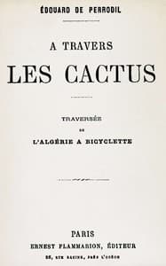 A travers les cactus