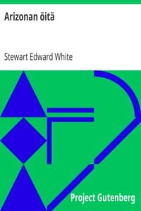 Arizonan öitä book cover