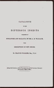 Catalogue of the dipterous insects collected at Singapore and Malacca book cover
