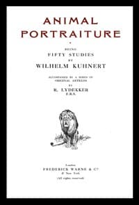 Animal portraiture