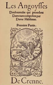 Les angoysses douloureuses qui procedent damours book cover