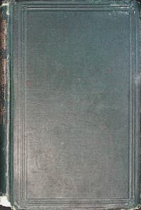 The new buggy book cover