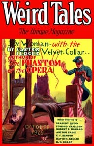 Skull-face book cover