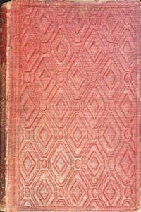 Rising in the world book cover