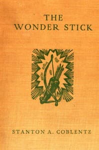 The wonder stick book cover